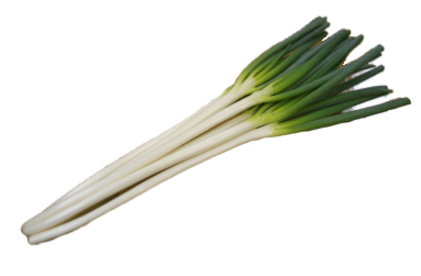 白美人(はくびじん)ねぎ(大田原市)